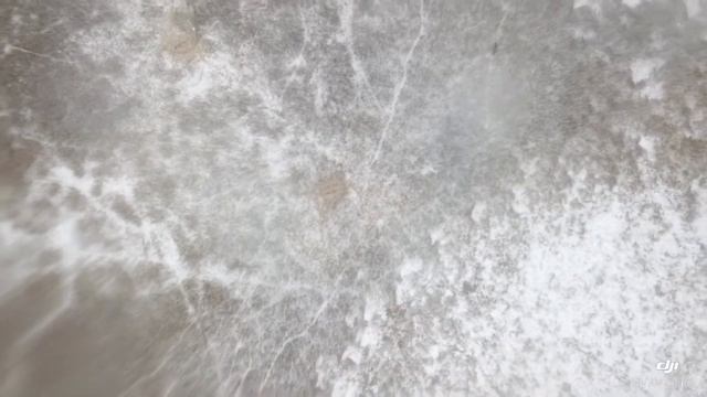 Кабанки, лоси и лисичка смотреть онлайн