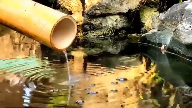 Расслабляющая музыка со звуками природы Bamboo Water Fountain смотреть онлайн