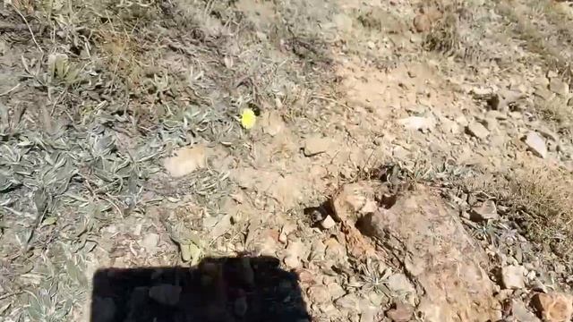 Пешком в горы поход одного дня в горы на мопеде Турция Аланья быстрый поход одиночный поход смотреть онлайн