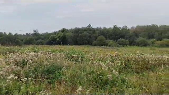 Видео 652 смотреть онлайн
