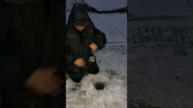 Мелкая треска в море одолевает смотреть онлайн