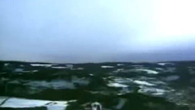 говорят коровы не летают??? смотреть онлайн