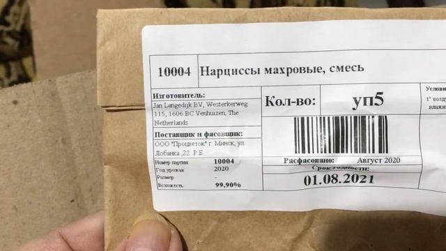 Посадка тюльпанов и нарциссов в конце ноября! смотреть онлайн