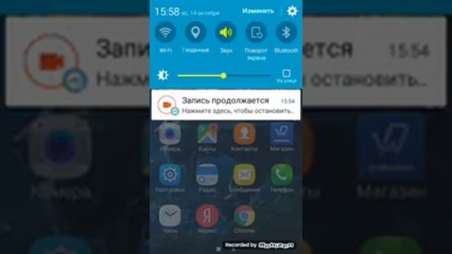 Описание леса смотреть онлайн