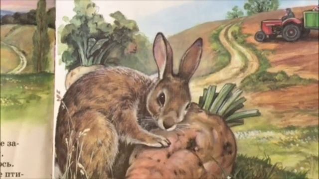 Сказка о животных смотреть онлайн