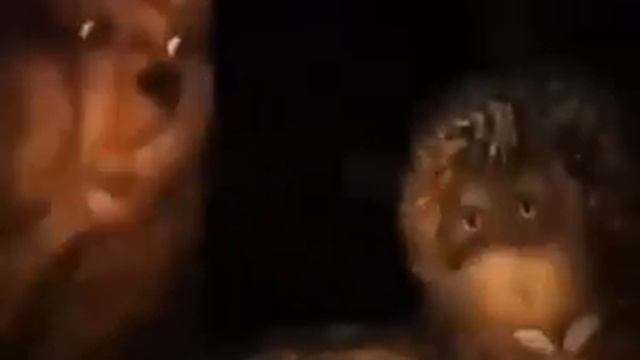 я познал вселенную смотреть онлайн