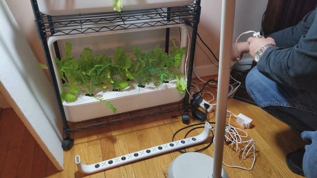 Click and Grow light panel broken after 2 weeks