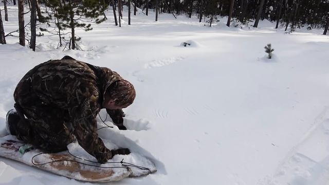 Охота на тетерева смотреть онлайн