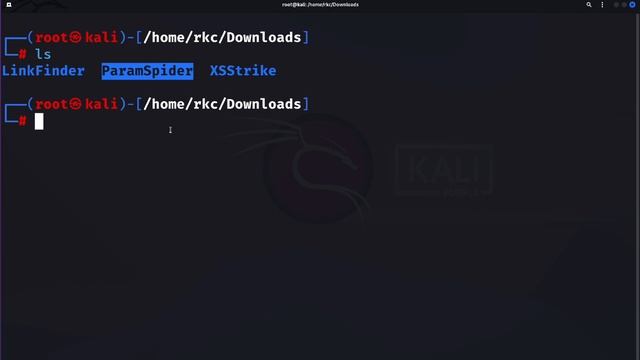 ParamSpider | ParamSpider Install | ParamSpider Tool #bug смотреть онлайн