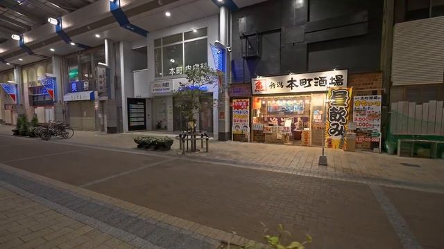 Япония • Ночная прогулка в Ниигата смотреть онлайн