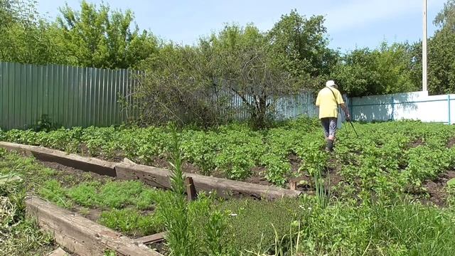 Опрыскиватель ЖУК-Эсперт (он же БИОНИК BIONIK ) 10 л. Опрыскивание картофеля бабушкой 75 лет смотреть онлайн