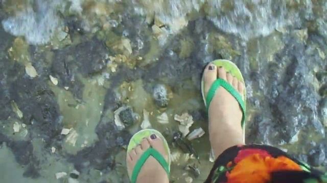 Залив с красной водой. Port Charlotte, Флорида. смотреть онлайн