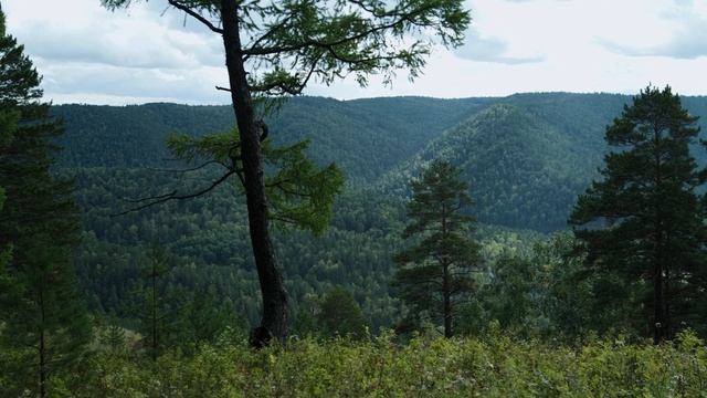 Есауловская петля смотреть онлайн