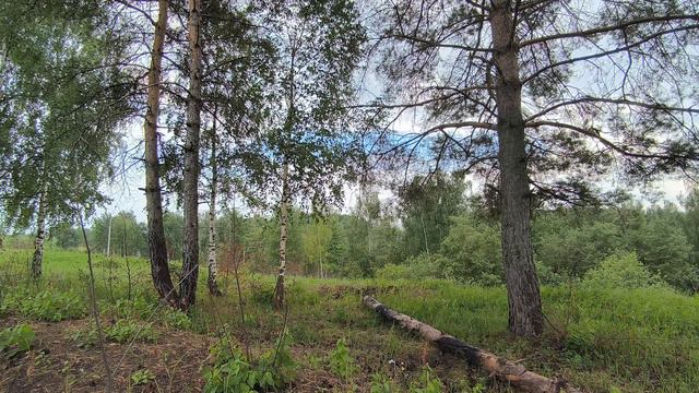 За городом. Июль 2024 смотреть онлайн