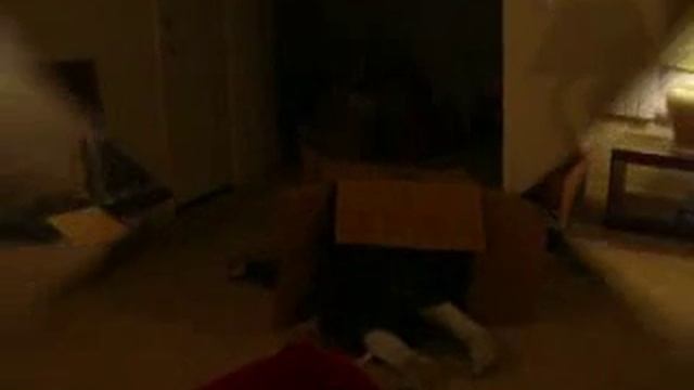 The Adventures of Box Ninja смотреть онлайн