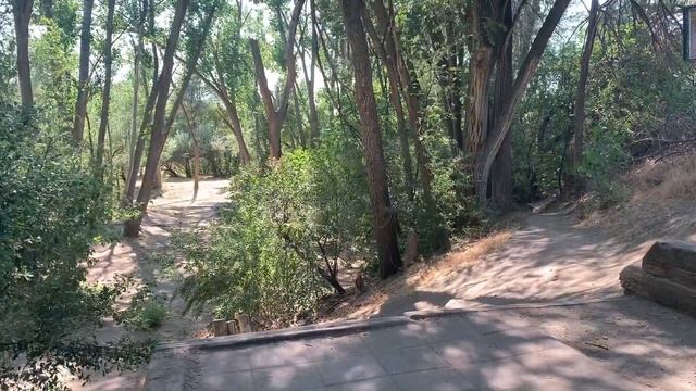 Tips for Starting YOUR Disc Golf Journey!!! | Disc Golf Declassified: Episode 2 | Field Work! смотреть онлайн