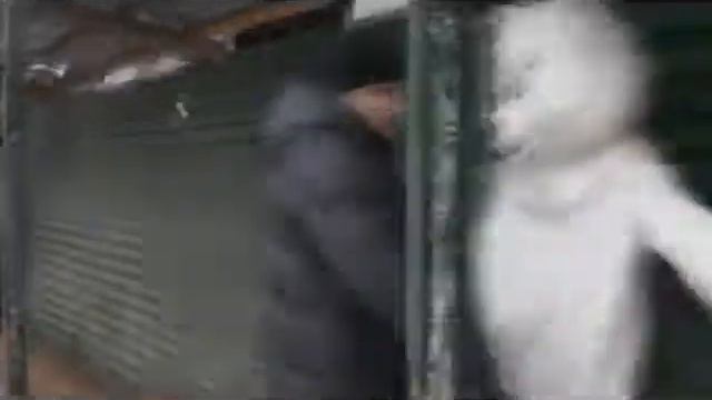 Замечены медведи_day8[Flash] смотреть онлайн