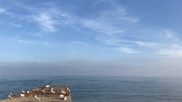 Расслабляющие звуки моря и крик чаек. смотреть онлайн