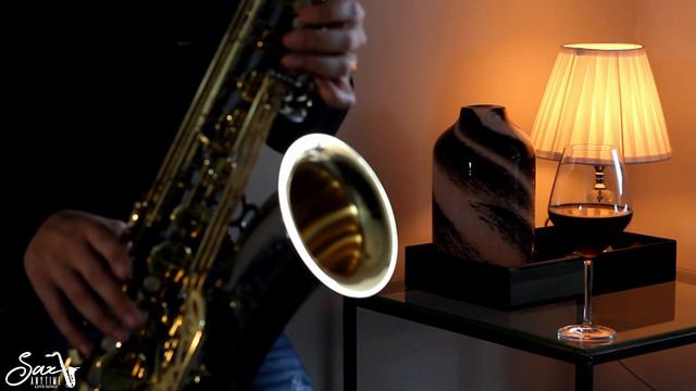 Raphael Stéfano - Roxette - It Must Have Been Love (Sax Cover) смотреть онлайн