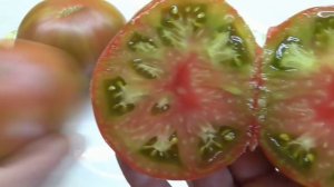 ТОМАТ "ЧЕРНЫЙ АНАНАС" (Ananas Noire США). №348. ПЕРВАЯ ДЕГУСТАЦИЯ. Ольга Чернова.