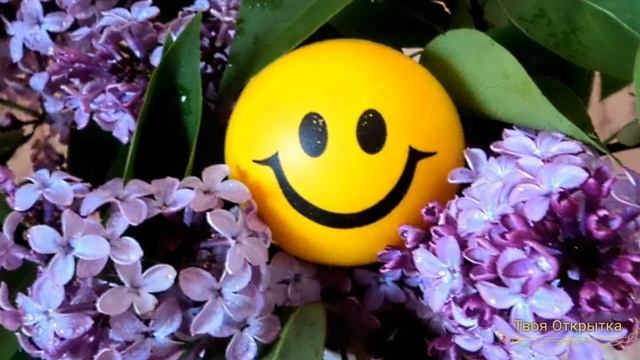 Желаю тебе хорошего дня и отличного настроения! Улыбнись!) смотреть онлайн