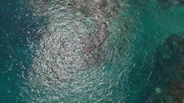 -У нас тут семейный совет, мы решили продать твою квартиру, а деньги поделить на всех- сказал Ген смотреть онлайн