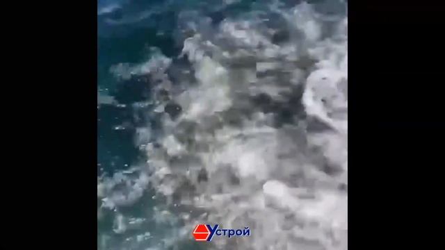 АЭРОМАССАЖ - КУПЕЛЬ, 8 граней. смотреть онлайн