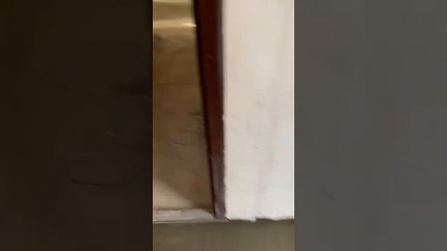 Ремонт квартир и домов Альметьевск смотреть онлайн