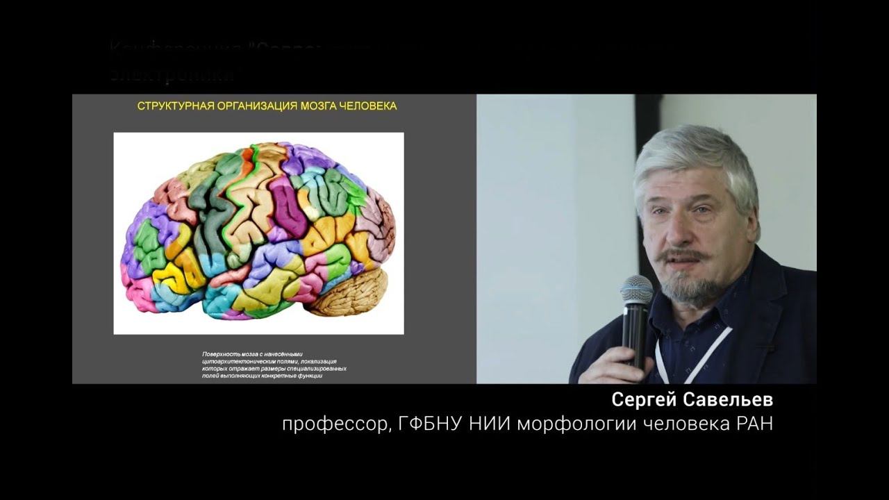 Савельев С.В. - поля(области) МОЗГА Человека или ЧТО проверяют(изСЛЕДуют) ИНОпланетяне у Землян.