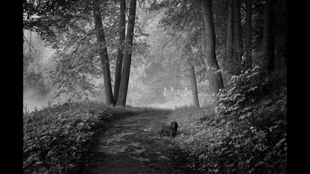 Вальс Осенние розы Оркестр В Кауппи 1927 смотреть онлайн