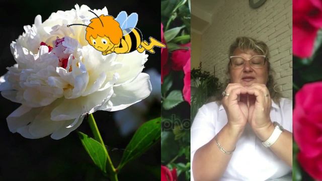 Тематичне заняття "Квіткова подорож" для старшого дошкільного віку смотреть онлайн