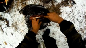 Регион 88 | Пушной промысел. Охота на соболя - 7 часть. | Сезон 2020 |