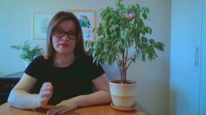 Уход за фикусом Бенджамина: что делать после покупки, полив, пересадка, подкормка