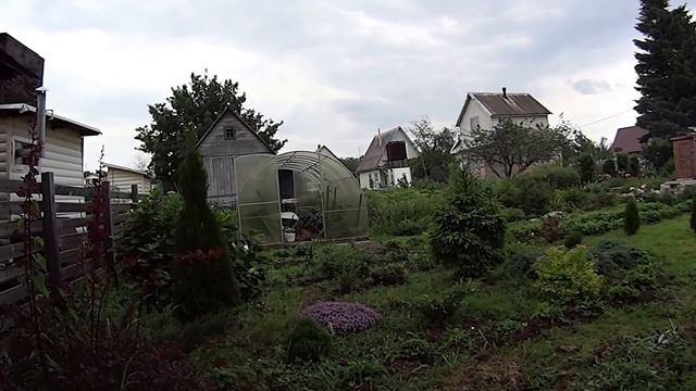 Как правильно фотографировать? Хорошо летом на даче! смотреть онлайн