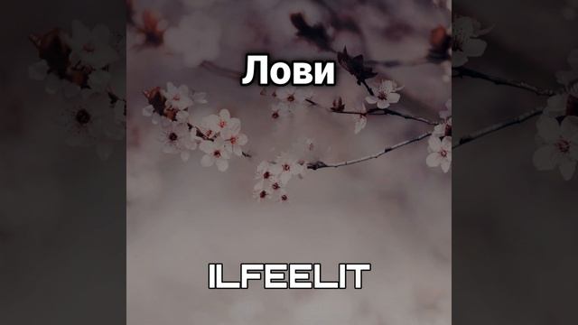 Лови