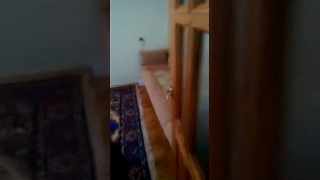 "Кавказский Уют" Недвижимость в Кисловодске. смотреть онлайн