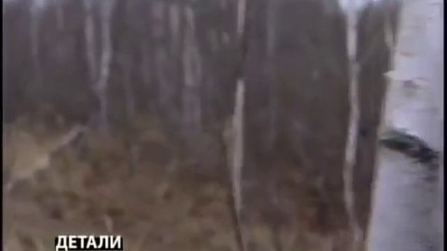 Лиза Алерт  Детали Новейшая история  Liza Alert Details STS Avi