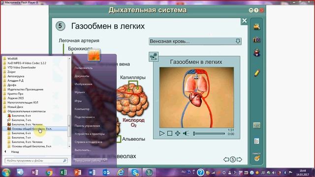 Дыхание.Дыхательная система. ЕГЭ и ОГЭ по биологии смотреть онлайн