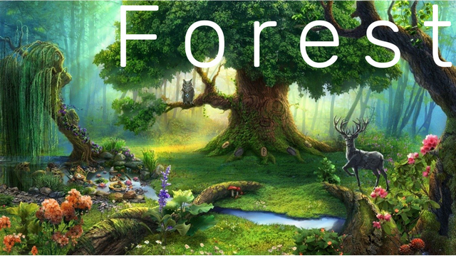 8.Forest ? ЛЕС ? РЕЛАКС ? МУЗЫКА ДЛЯ ДУШИ и ТЕЛА! ? МЕДИТАЦИЯ ? БОЖЕСТВЕННАЯ МУЗЫКА АНГЕЛОВ! смотреть онлайн