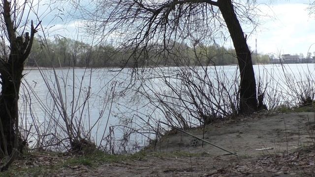 Краткий обзор рыбалки на устье Десны, смотреть целиком! смотреть онлайн