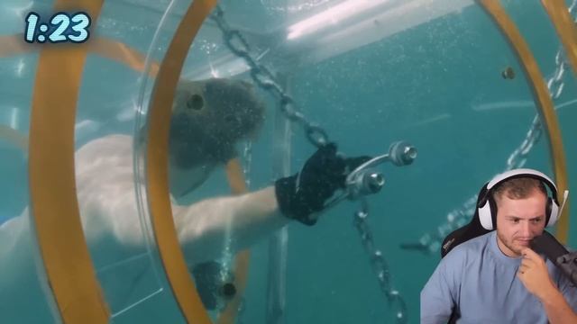 ??DIE GEFÄHRLICHSTEN FALLEN von MRBEAST REAKTION | Trymacs Stream Highlights смотреть онлайн