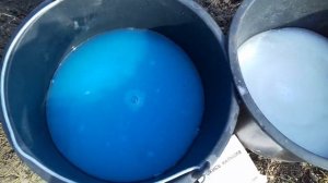 КАК ПРАВИЛЬНО ПРИГОТОВИТЬ 1% РАСТВОР БОРДОСКОЙ ЖИДКОСТИ.