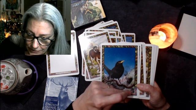 Unboxing: Druid Animal Oracle смотреть онлайн