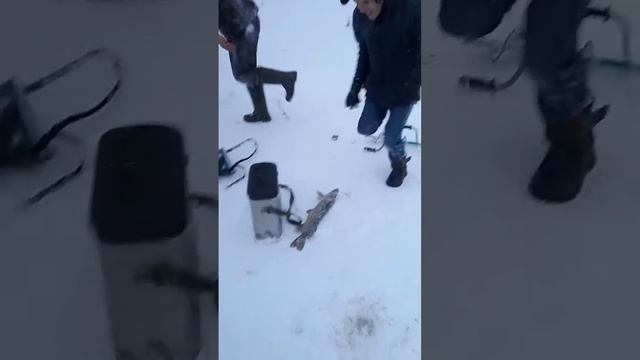 Рыбаки не поделили улов и передрались смотреть онлайн