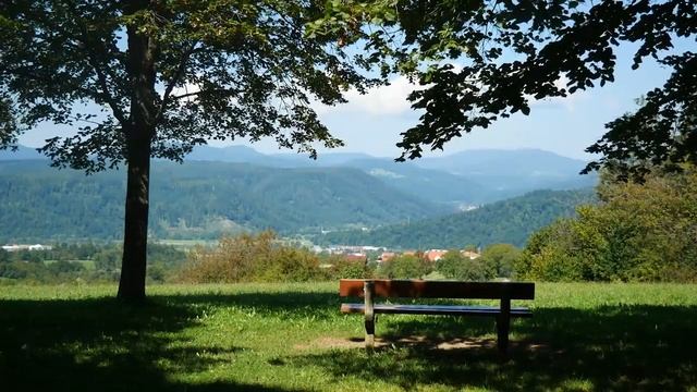 5 часов успокаивающего пения птиц в лесу - Расслабляющие звуки для сна - Пение птиц для сна смотреть онлайн