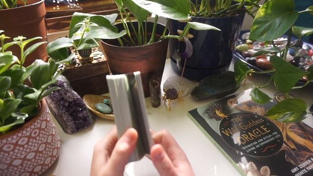 Wild Goddess Oracle Deck Unboxing & Flip Through смотреть онлайн