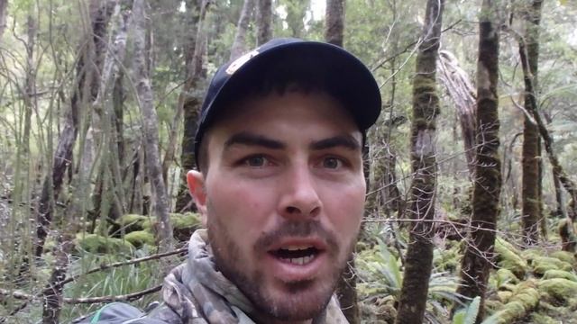 Stewart Island смотреть онлайн
