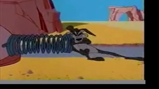Wile E Coyote & Roadrunner