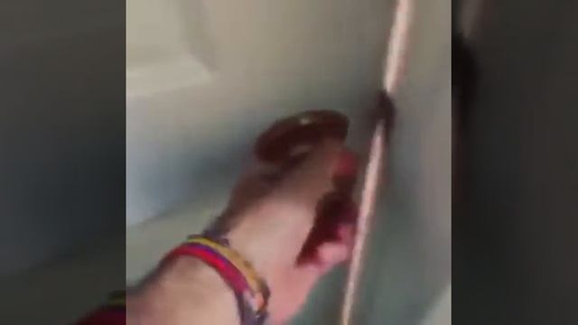 Разница кошек и собак. смотреть онлайн