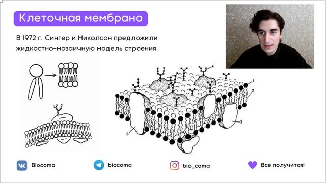 Клеточная мембрана. Строение, Функции и Практика | Биокома ЕГЭ по Биологии смотреть онлайн